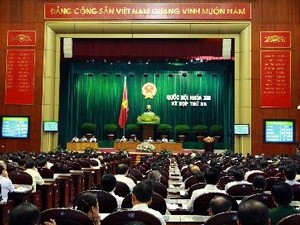 发挥国会在反腐败中的作用 - ảnh 1