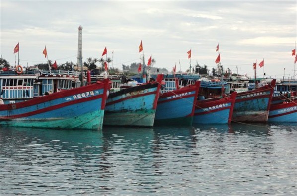 广治省打造黄沙渔场远海捕捞船队 - ảnh 1