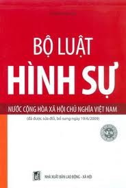 完善刑事政策，更好地保护人权和公民权 - ảnh 1