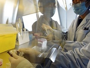 中国向俄罗斯提供H7N9禽流感病毒样本 - ảnh 1