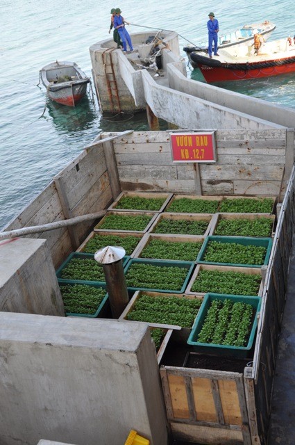 造访长沙群岛上的暗礁 - ảnh 4