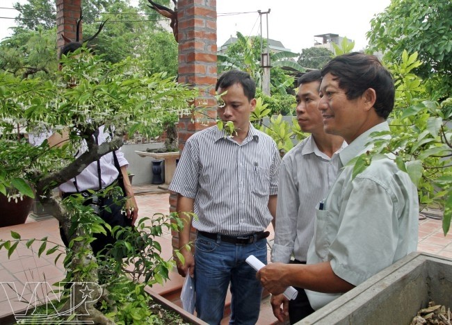 河内郊区瑞香合作社新模式为新农村建设做出积极贡献 - ảnh 1