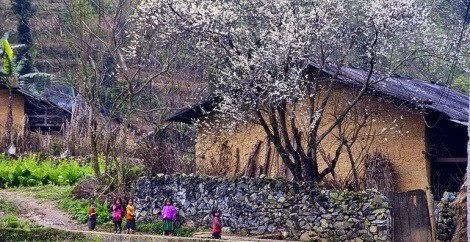 花赫蒙族的传统住房 - ảnh 1