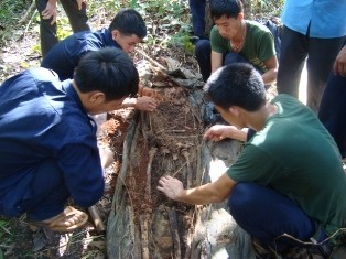 13年来到处搜寻战友遗骸的K72队 - ảnh 1