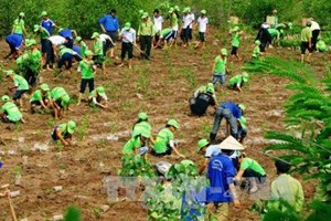 越南促进形成全球新的气候变化法律框架 - ảnh 1