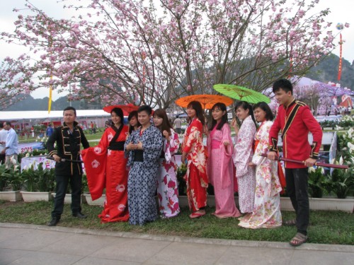 广宁省：2015下龙樱花节开幕  - ảnh 1