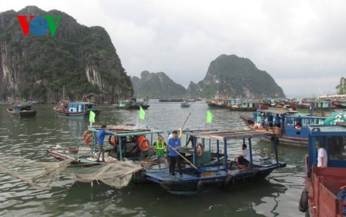 “全社会恢复海滩清洁”活动启动仪式在下龙市举行 - ảnh 1