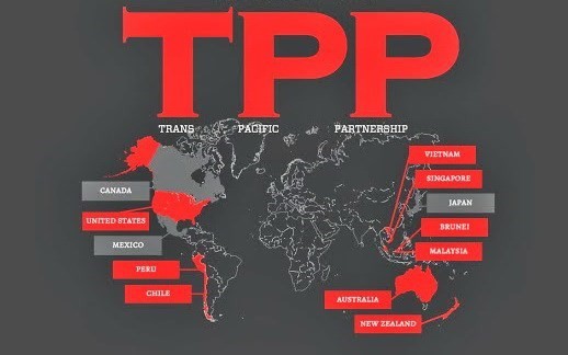 美国启动《跨太平洋伙伴关系协定》批准程序 - ảnh 1