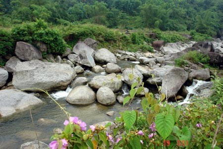 河江省宁静的踏村 - ảnh 3