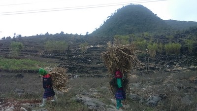 苗旺县居民应对寒冷天气 - ảnh 7