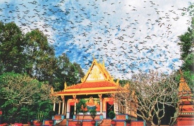 独特的九龙江平原地区高棉族寺庙 - ảnh 3