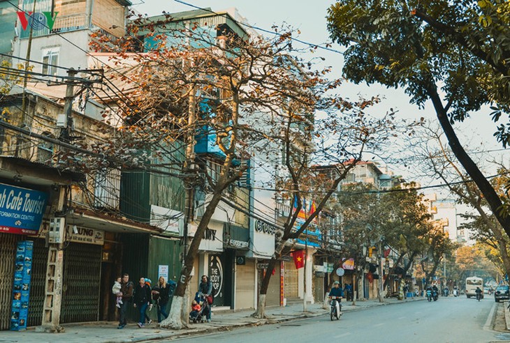 河内春节街景 - ảnh 10