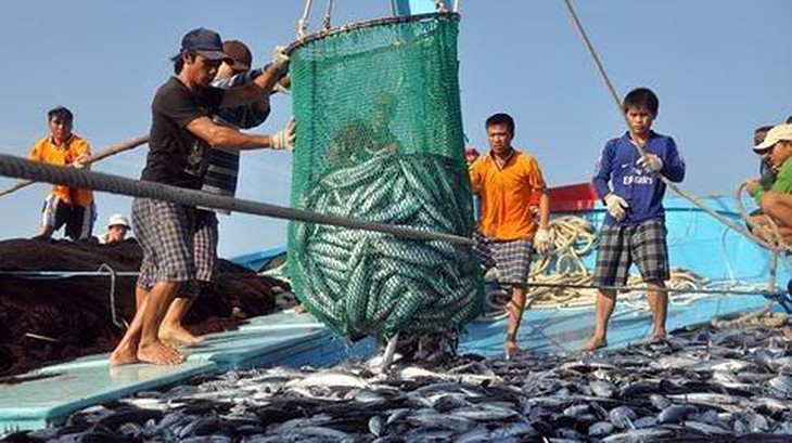 应用先进技术于可持续水产捕捞 - ảnh 1