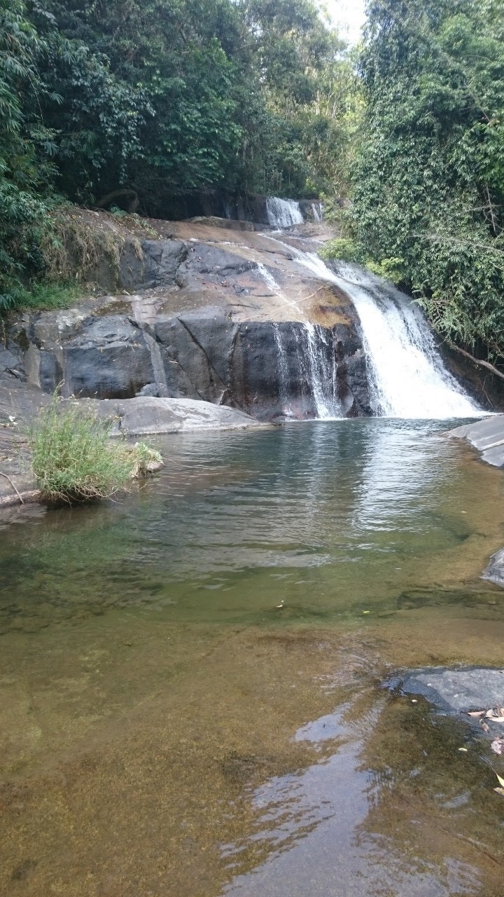 咸顺北旅游：唤醒“林中的睡美人” - ảnh 1