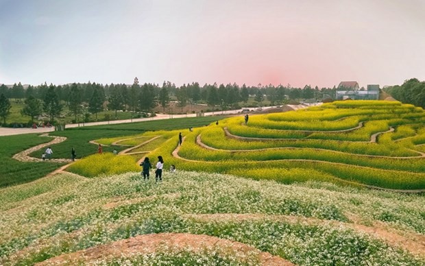 河内再有两处市级旅游景点 - ảnh 1