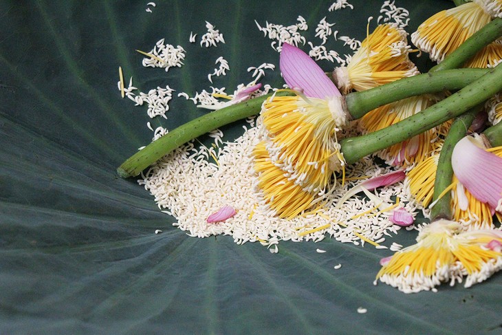 品西湖莲花茶、探究河内文化 - ảnh 2