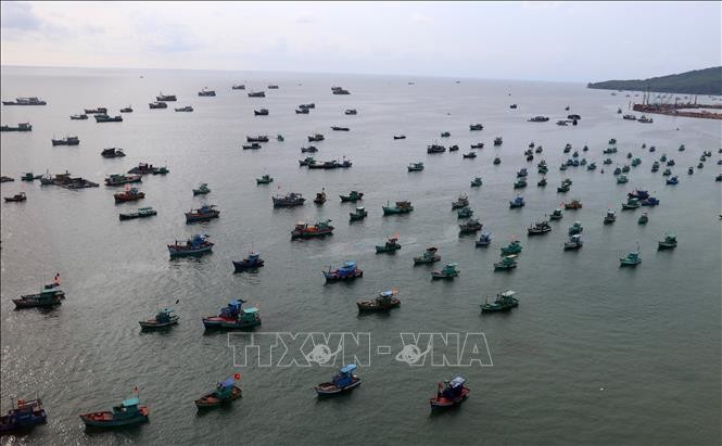 俄罗斯专家高度评价越南努力营造和平稳定环境的一贯政策 - ảnh 1