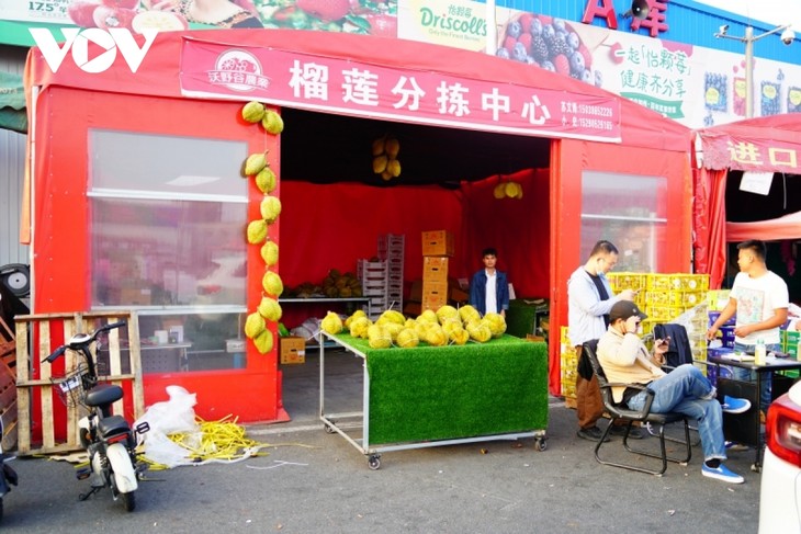 越南榴莲迎来重新占领中国市场的大好机会 - ảnh 3