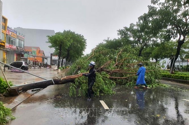 台风“奥鹿”登陆越南，中部多地下大雨 - ảnh 1