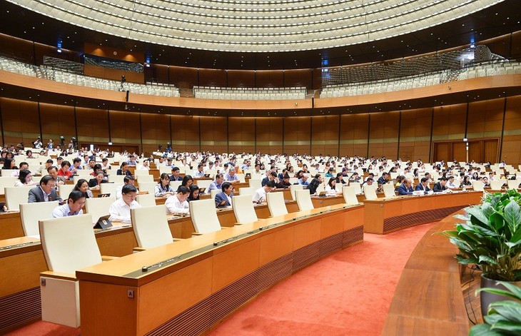 国会代表对第十五届国会第四次会议的质询和回答质询活动充满期待 - ảnh 1