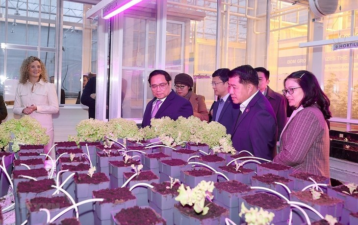  越南政府总理范明政参观南荷兰省世界园艺中心  - ảnh 1