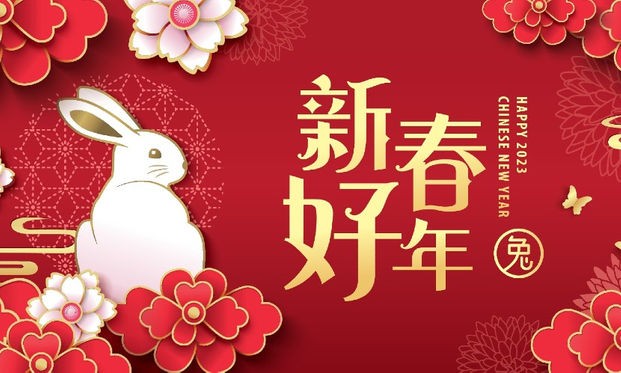 听众来信摘录：各地听众新年祝福 - ảnh 3