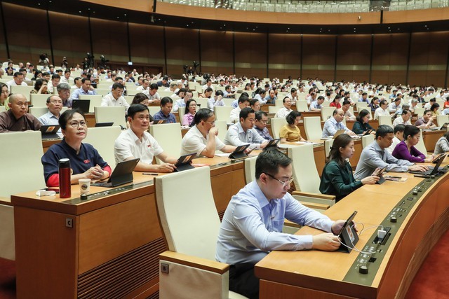 国会讨论修改关于对国会或人民议会选举或批准的任职人员进行信任投票的决议 - ảnh 1