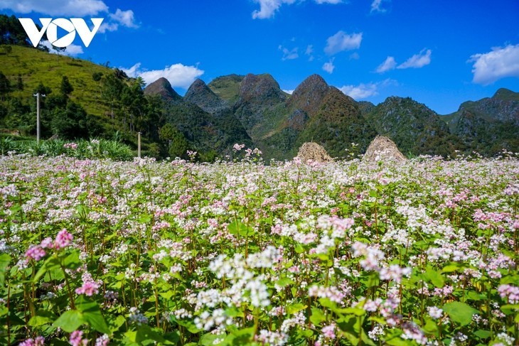 越南荣获2023年世界旅游大奖的地方 - ảnh 8