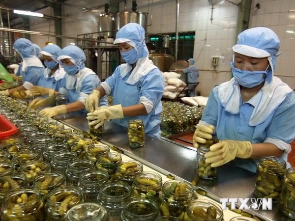 前6个月货物出口预计增长13.8% - ảnh 1