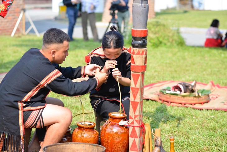 埃德族同胞的健康祭仪式 - ảnh 4