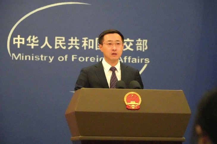 中国希望巩固越中传统友谊  深化务实合作 - ảnh 1