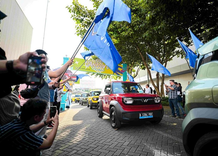 在印尼销售两个月 VinFast交付 400 辆电动车 - ảnh 1