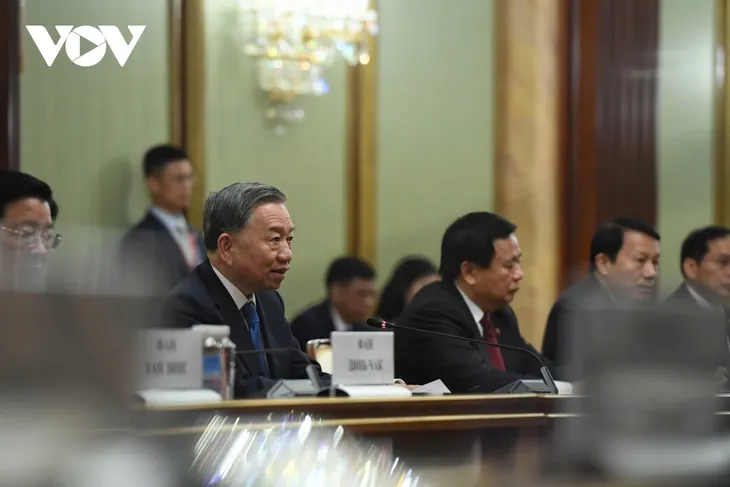 苏林会见俄罗斯总理米舒斯京 - ảnh 2