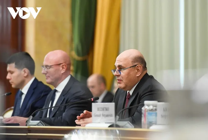 苏林会见俄罗斯总理米舒斯京 - ảnh 3