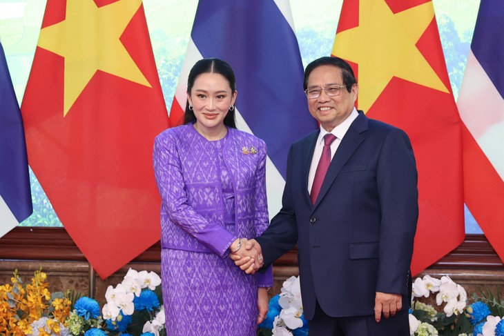 组图：范明政主持仪式，欢迎泰国总理对越南正式访问 - ảnh 7