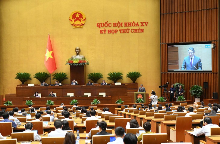 国会通过两项重要决议 - ảnh 1