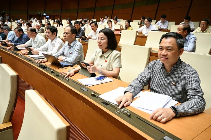 国会表决通过缩短本届国会任期3个月 - ảnh 1