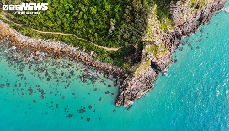 龙鳞角的原始之美及其神秘故事 - ảnh 2