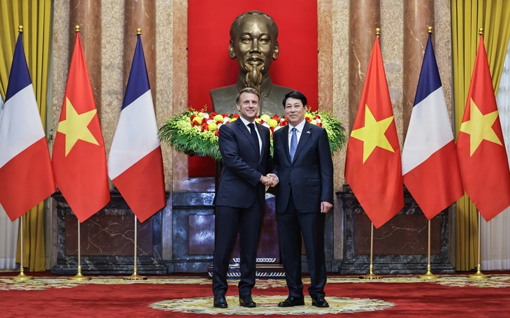 组图：国家主席梁强举行仪式欢迎法国总统对越南进行国事访问 - ảnh 7