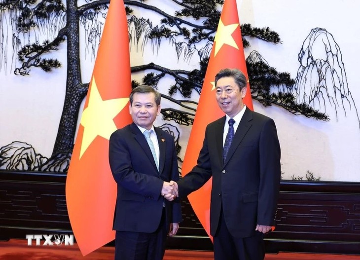 司法——越中关系重要合作支柱之一 - ảnh 1