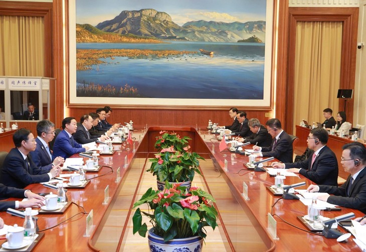 陈红河会见中国云南省省长王予波 - ảnh 2