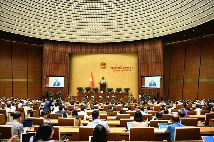 越南制定自身竞争战略，吸引外国直接投资，促进可持续发展 - ảnh 1