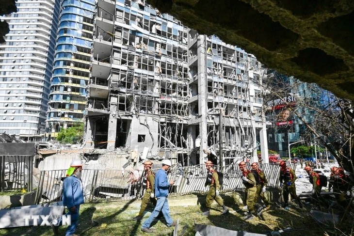 近50名越南公民安全入境埃及 - ảnh 1