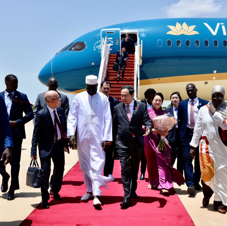 陈青敏开始正式访问塞内加尔 - ảnh 2