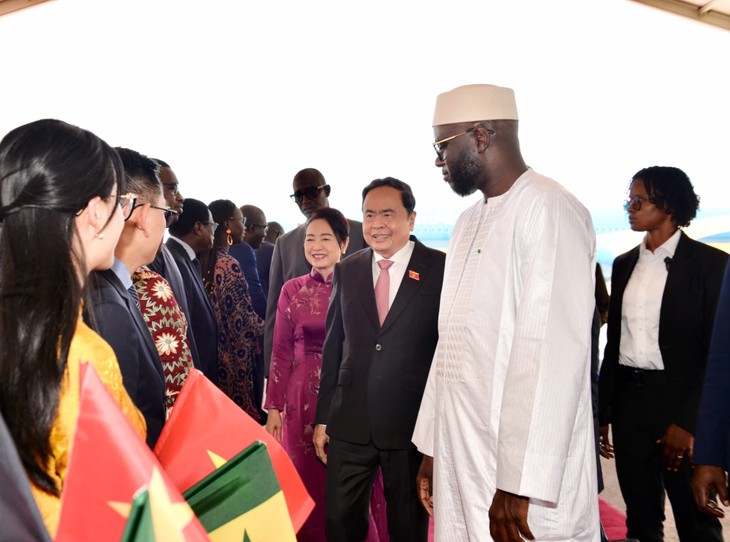 陈青敏开始正式访问塞内加尔 - ảnh 1