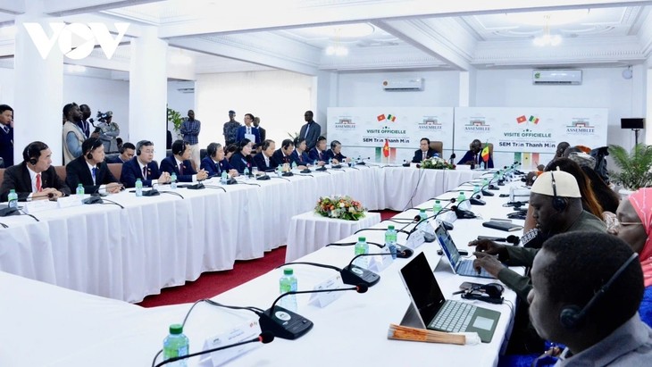 陈青敏与塞内加尔国民议会议长马利克•恩迪亚耶举行会谈 - ảnh 2