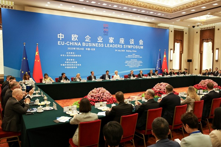 进一步深化中国-欧盟关系 - ảnh 1