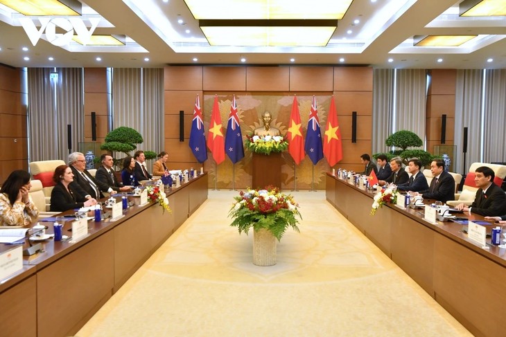 陈青敏与新西兰议会议长布朗利举行会谈 - ảnh 2