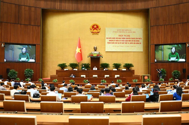 确保15届国会10次会议成功举办 - ảnh 1