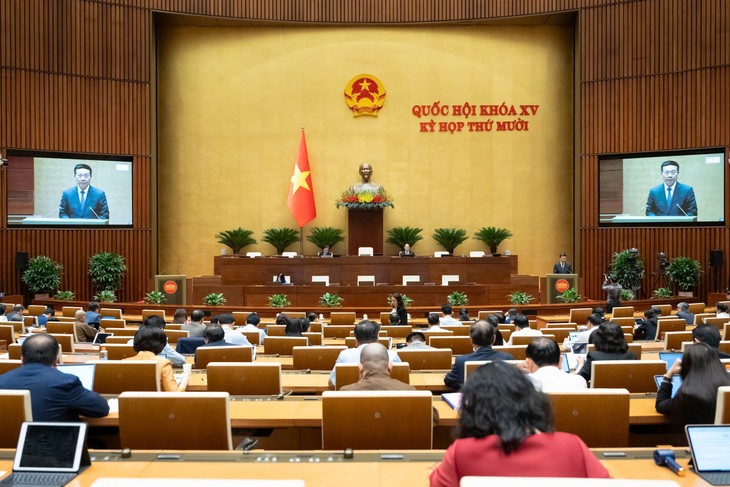 修订法律以促进技术转让活动有效进行 - ảnh 1